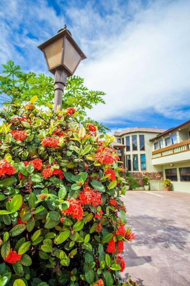House Of Fountains Lahaina Exterior photo
